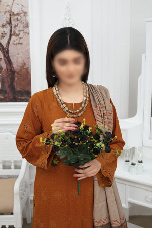 Dil Ruba 3pcs vol#11 Artical 04